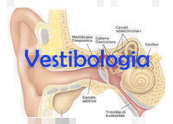 vestibologia